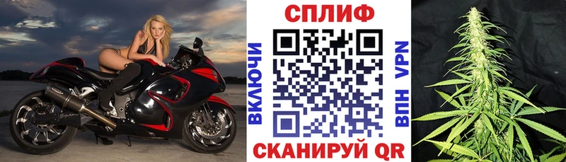  COCAIN Сурск