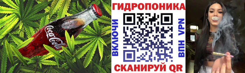 Cannafood марихуана  блэк спрут ссылки  Сурск 