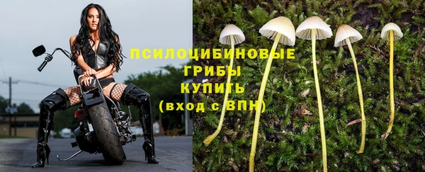 2c-b Абаза