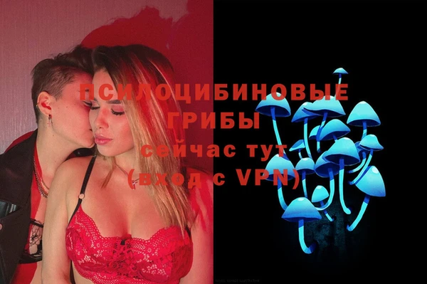 трава Кинешма